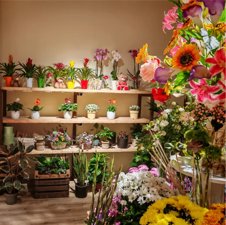 Interior floristería con varios estantes de plantas