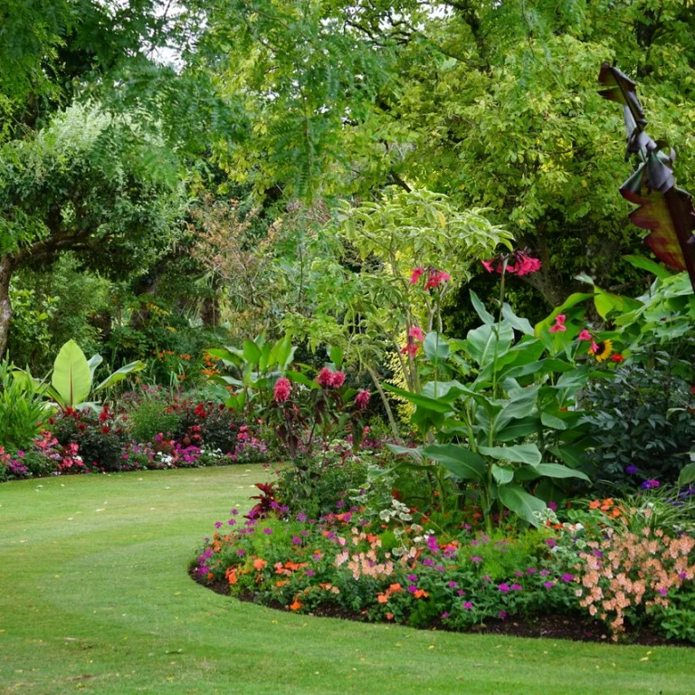 Camino de césped cortado en un jardín, con varias especies de plantas al los lados